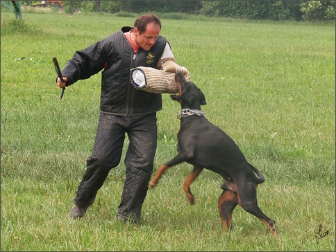 Cliff - training 6/2007